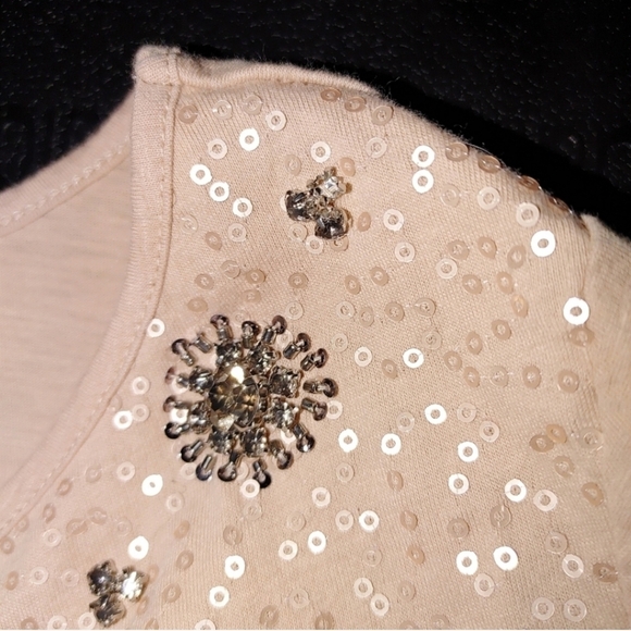 Ann Taylor Loft sequin embellished blouse - Picture 8 of 8